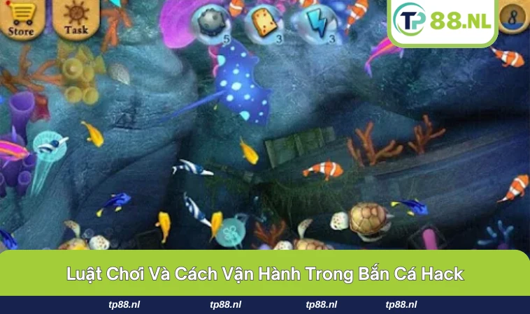 Bảng điểm nhìn hấp dẫn nhưng có thể là ảo