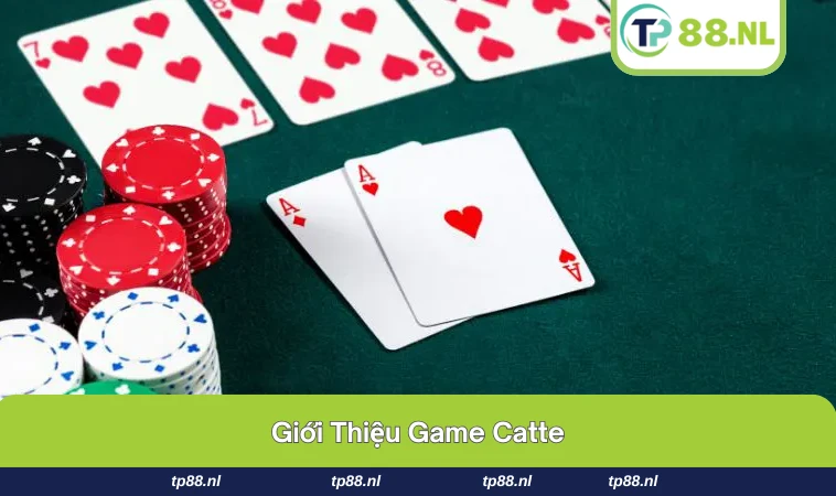 Hình ảnh bộ bài và bàn chơi Catte truyền thống.