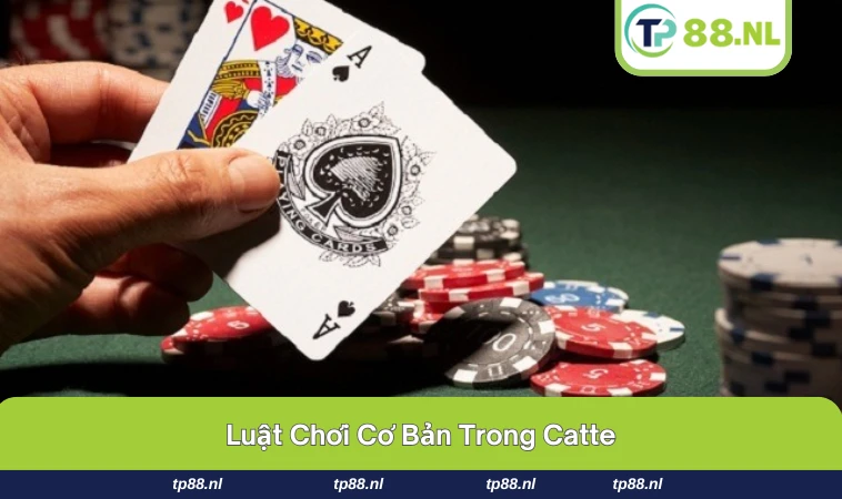 Người chơi áp dụng úp bài và ăn bài trong cách chơi Catte.
