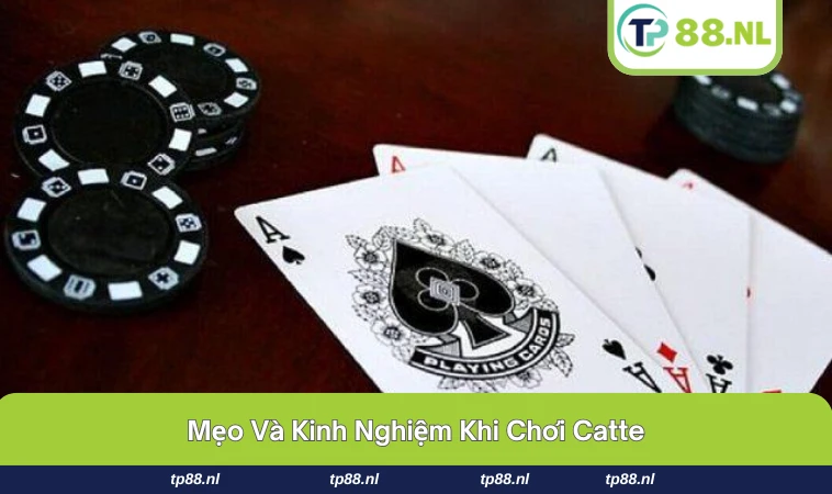 Mẹo ghi nhớ bài và giữ tâm lý vững vàng khi chơi Catte.
