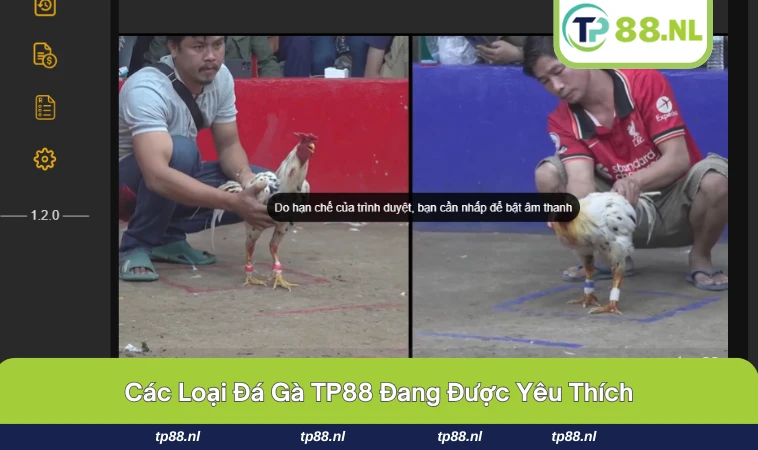 Giao diện chọn trận đấu trong đá gà hiện đại và dễ sử dụng.