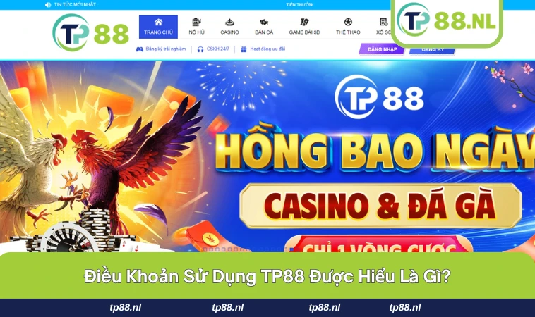 Điều Khoản Sử Dụng TP88 1 Quy trình thực hiện điều khoản sử dụng TP88
