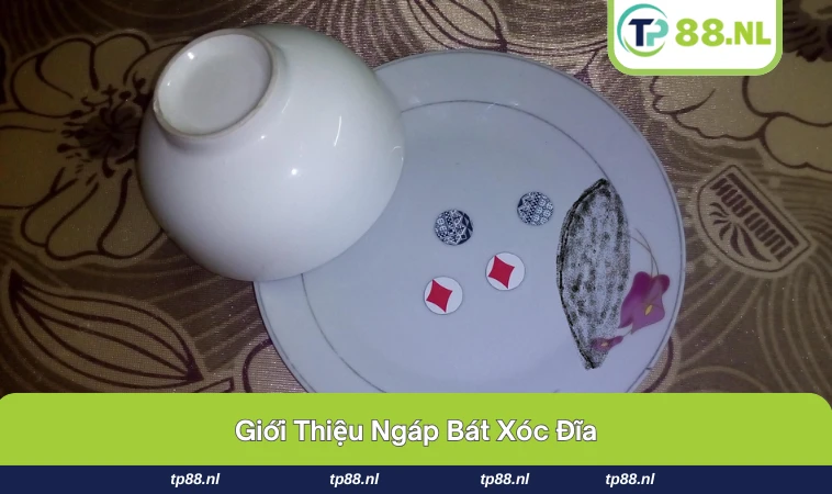 Các cao thủ thường chú tâm quan sát bát xóc đĩa.