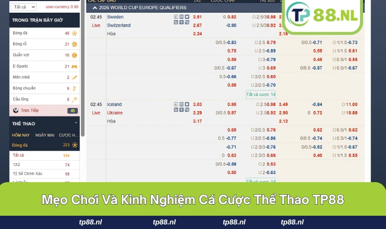 Người chơi tại thể thao TP88 đang theo dõi và phân tích kèo đấu.
