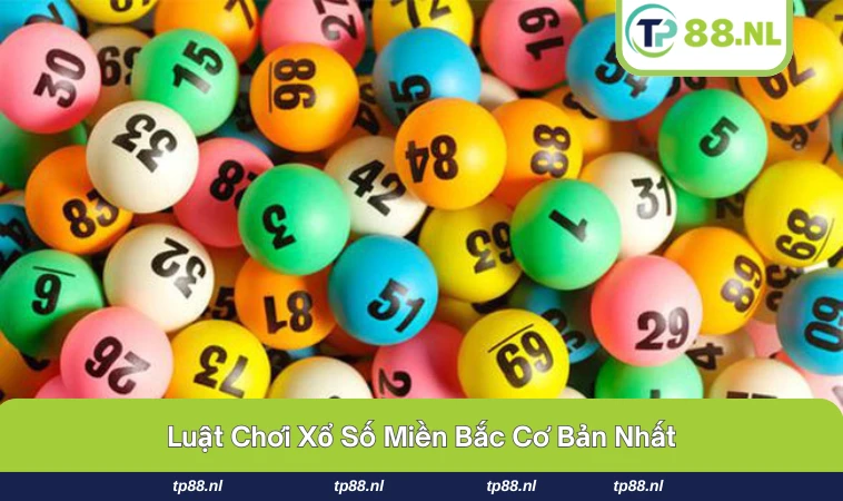 Người chơi cần có kết quả xổ số phía Bắc.